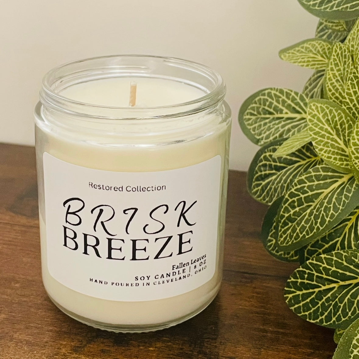 Brisk Breeze